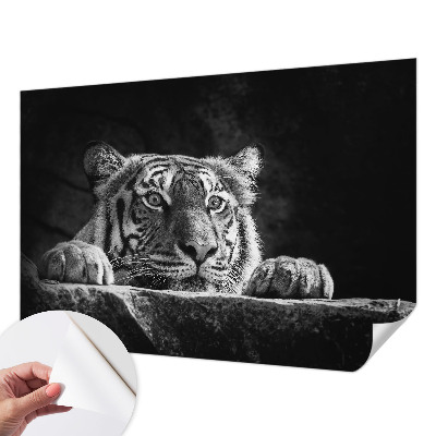 Children's wall mural Predatory look