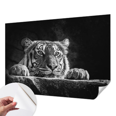 Children's wall mural Predatory look