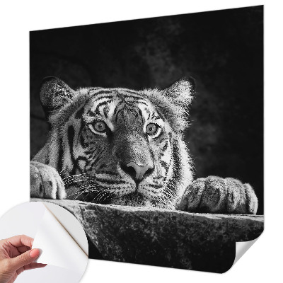 Children's wall mural Predatory look