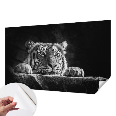 Children's wall mural Predatory look