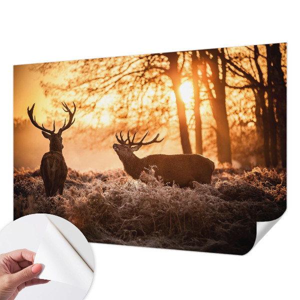 Peel and stick wallpaper mural with a deer scene at dawn