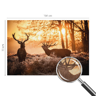 Peel and stick wallpaper mural with a deer scene at dawn