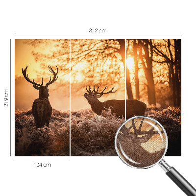 Peel and stick wallpaper mural with a deer scene at dawn