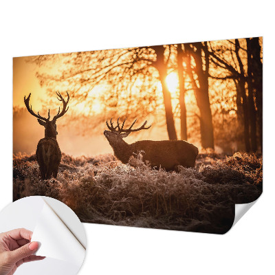 Peel and stick wallpaper mural with a deer scene at dawn