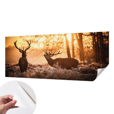 Peel and stick wallpaper mural with a deer scene at dawn