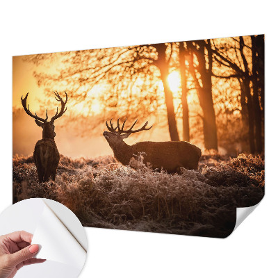 Peel and stick wallpaper mural with a deer scene at dawn