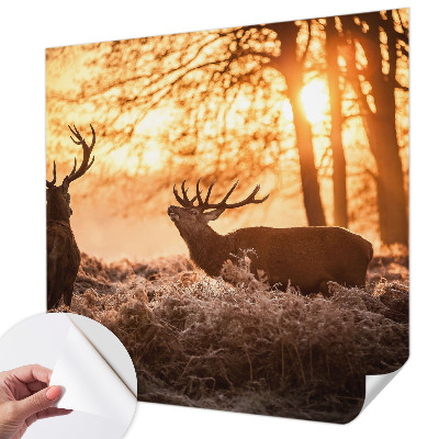 Peel and stick wallpaper mural with a deer scene at dawn