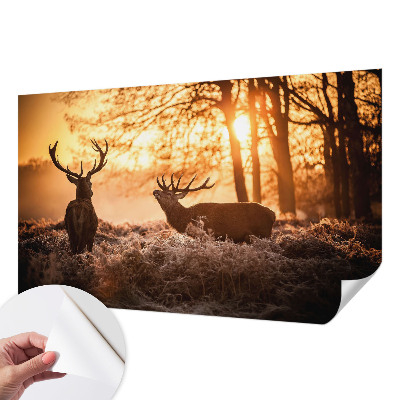 Peel and stick wallpaper mural with a deer scene at dawn