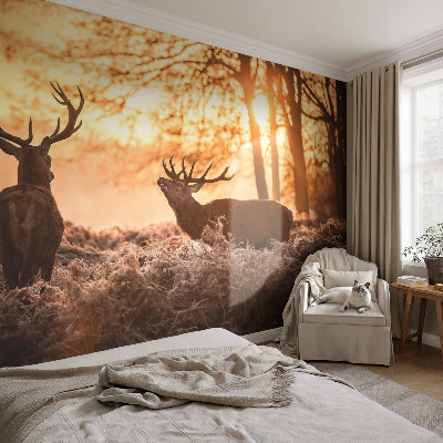 Peel and stick wallpaper mural with a deer scene at dawn