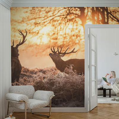 Peel and stick wallpaper mural with a deer scene at dawn