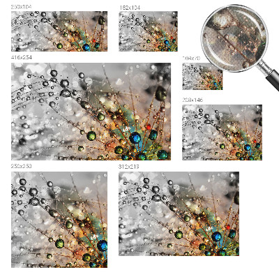 Peel and stick wall mural for kids' room I dew jewels