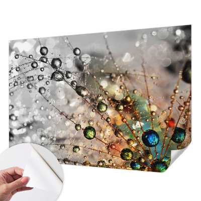 Peel and stick wall mural for kids' room I dew jewels