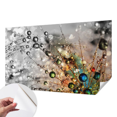 Peel and stick wall mural for kids' room I dew jewels