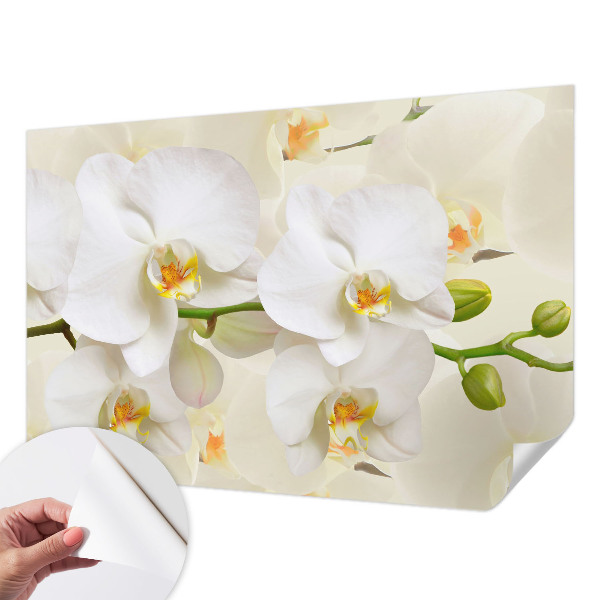 3D wall mural with a floral abundance design