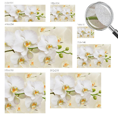 3D wall mural with a floral abundance design