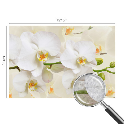 3D wall mural with a floral abundance design