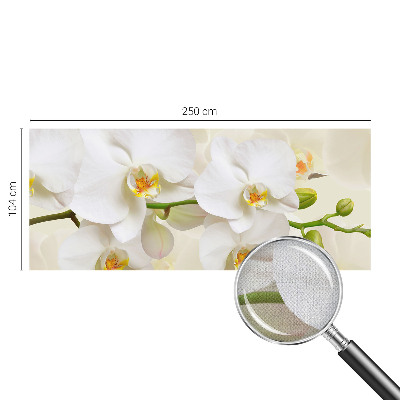 3D wall mural with a floral abundance design