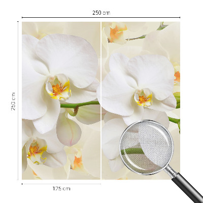 3D wall mural with a floral abundance design