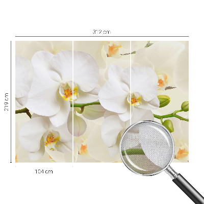 3D wall mural Floral wealth