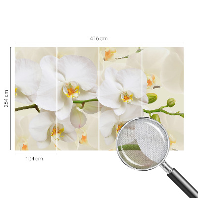 3D wall mural Floral wealth