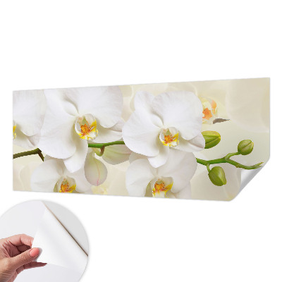 3D wall mural with a floral abundance design
