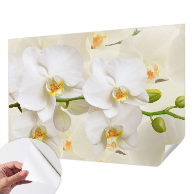 3D wall mural with a floral abundance design