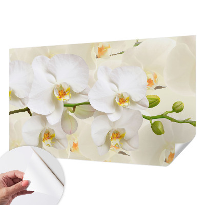 3D wall mural with a floral abundance design