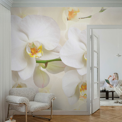 3D wall mural with a floral abundance design