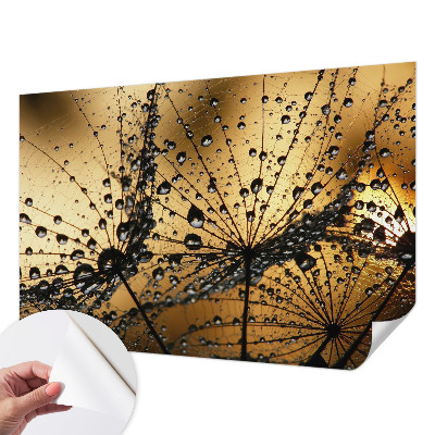 3D photo wallpaper mural with a delicate raindrop design