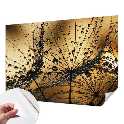3D photo wallpaper mural with a delicate raindrop design