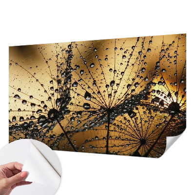 3D photo wallpaper mural with a delicate raindrop design