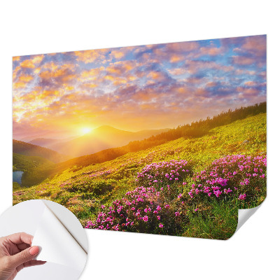 Self-adhesive wall mural Mountain West
