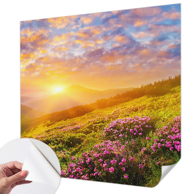 Self-adhesive wall mural with a Mountain West landscape design
