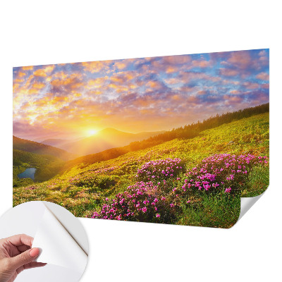 Self-adhesive wall mural with a Mountain West landscape design