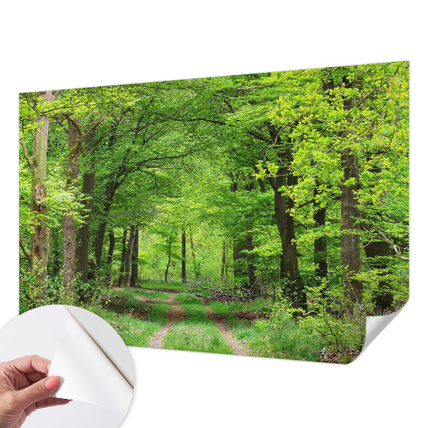 Self-adhesive photo wallpaper Forest path