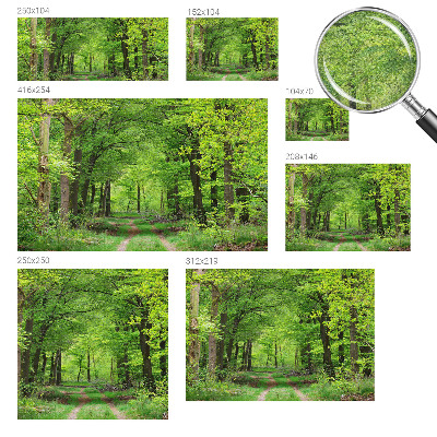 Self-adhesive photo wallpaper with a forest path motif