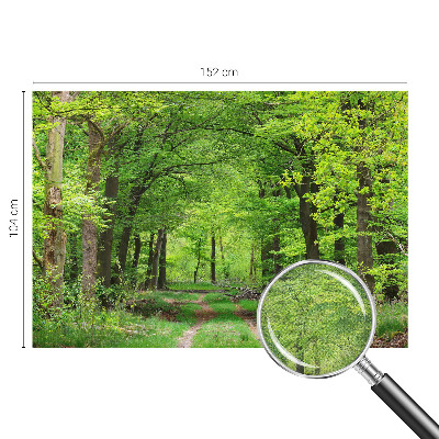 Self-adhesive photo wallpaper with a forest path motif
