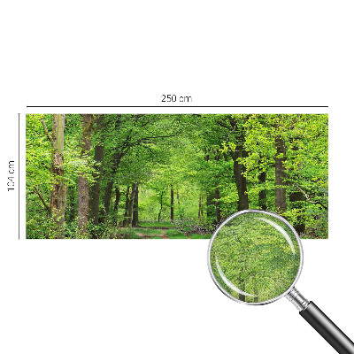 Self-adhesive photo wallpaper with a forest path motif