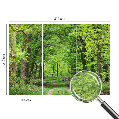 Self-adhesive photo wallpaper with a forest path motif