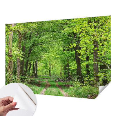 Self-adhesive photo wallpaper with a forest path motif