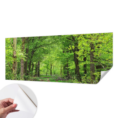 Self-adhesive photo wallpaper with a forest path motif