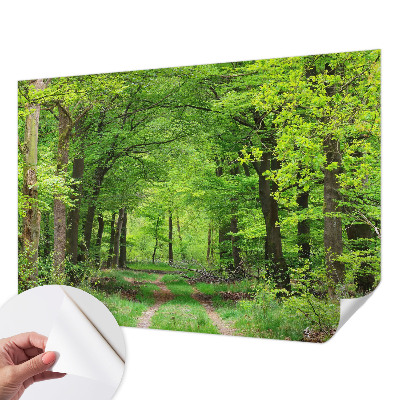 Self-adhesive photo wallpaper Forest path