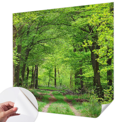 Self-adhesive photo wallpaper with a forest path motif