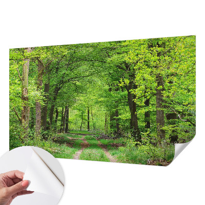 Self-adhesive photo wallpaper with a forest path motif