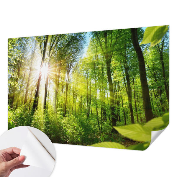 Stick-on wall mural with a forest light design