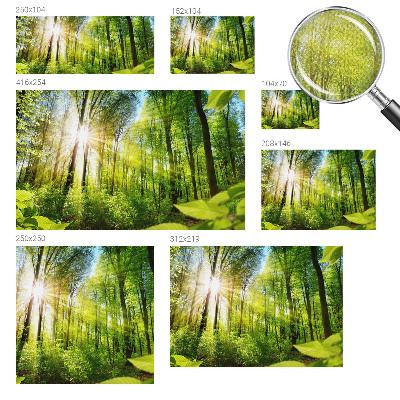 Stick-on wall mural with a forest light design