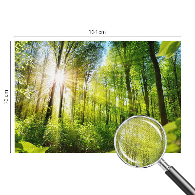 Stick-on wall mural with a forest light design