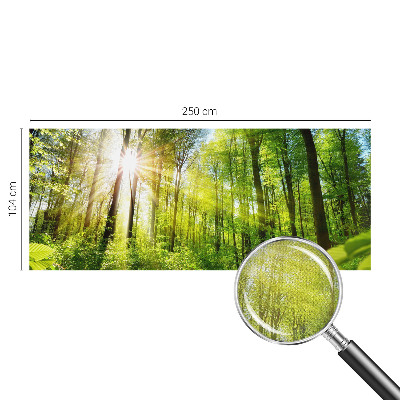 Stick-on wall mural with a forest light design