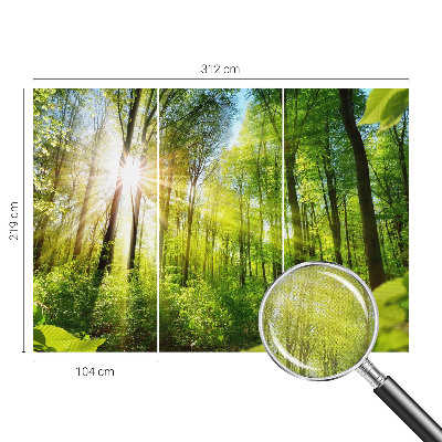 Stick-on wall mural Forest light