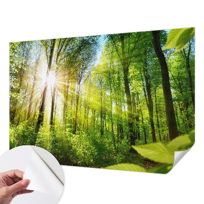 Stick-on wall mural with a forest light design